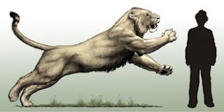 Panthera leo atrox 