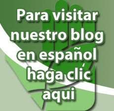 Spanish Blog