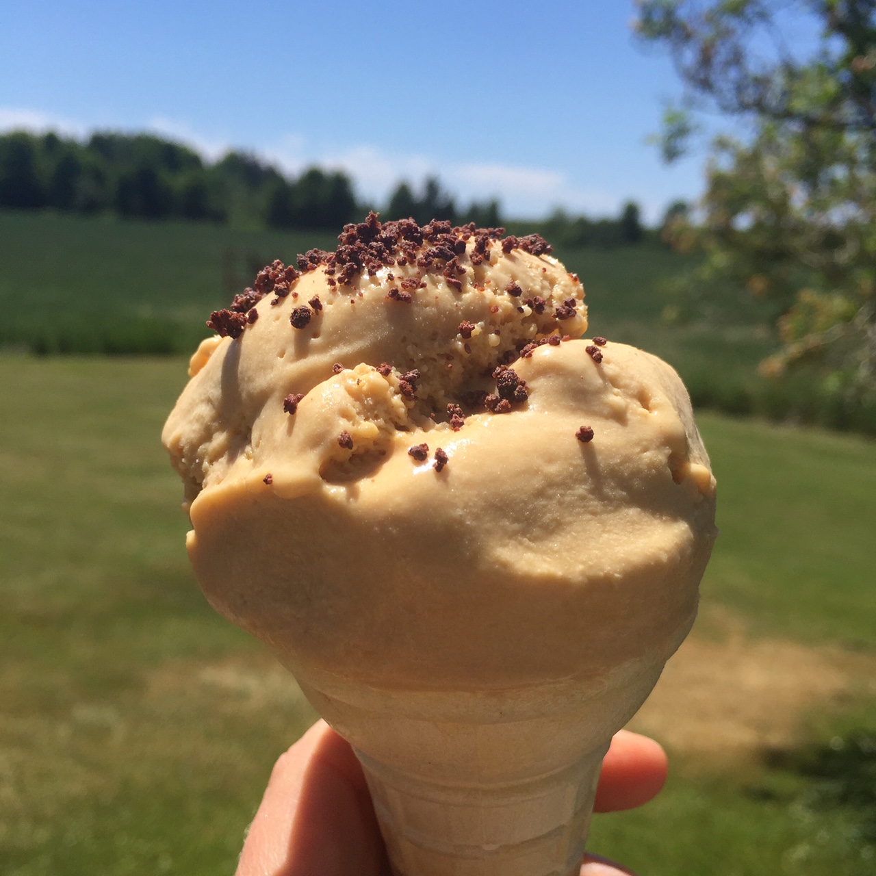 The Ultimate Chocolate Blog Salted Caramel Ice Cream with Caramel