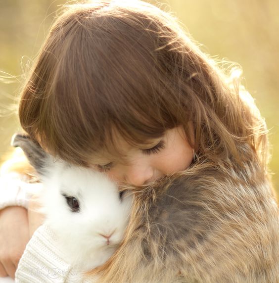 Is My Rabbit Is Sick? 10 Tell Tale Signs And Quick Solutions The