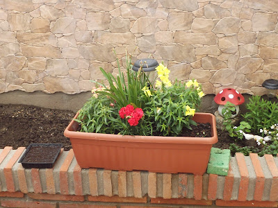 ElAelito: "El Patio de mi casa...."