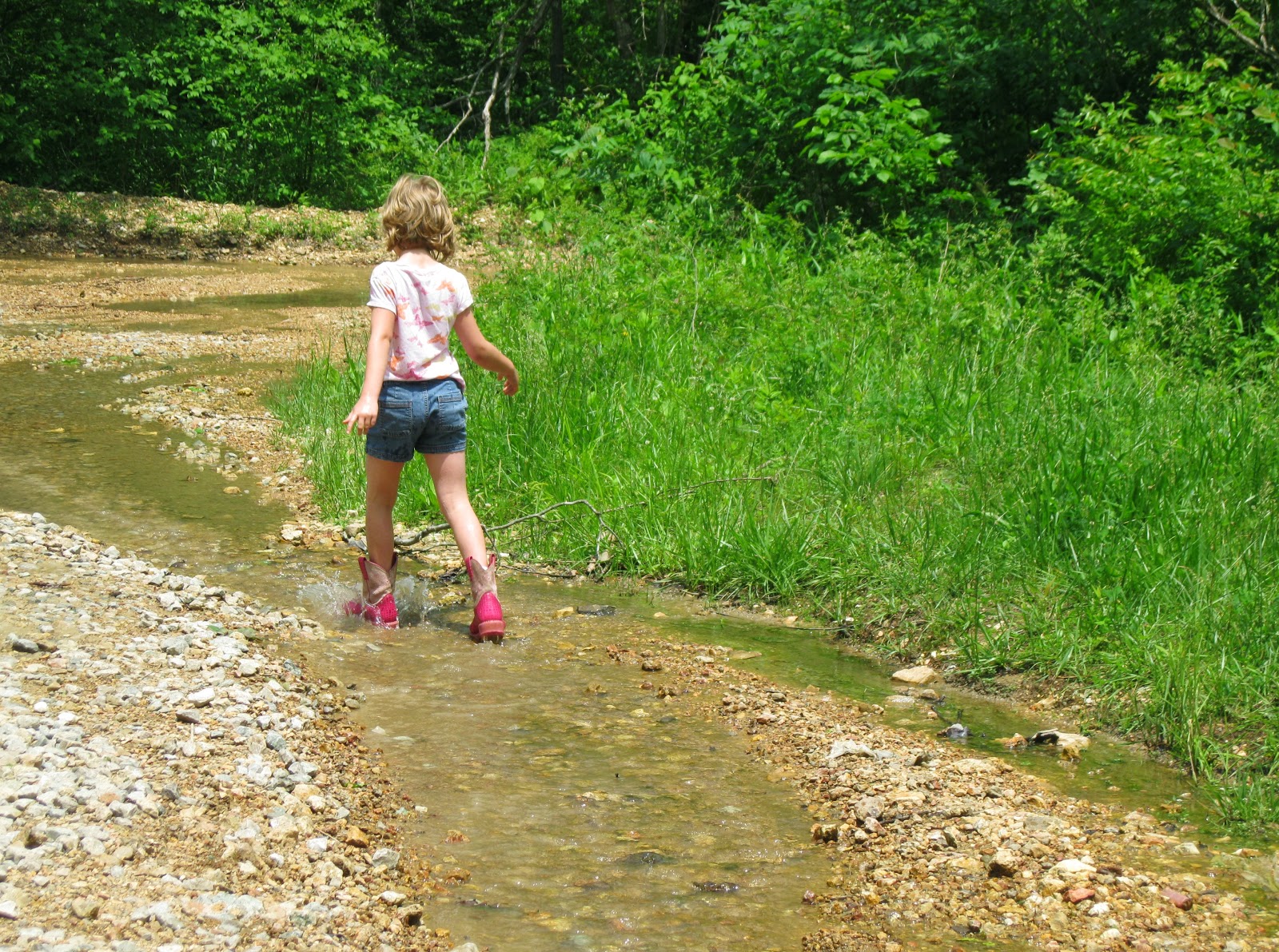 Adventures Among Us Photos of Sycamore Valley Artesian near Marquand, MO