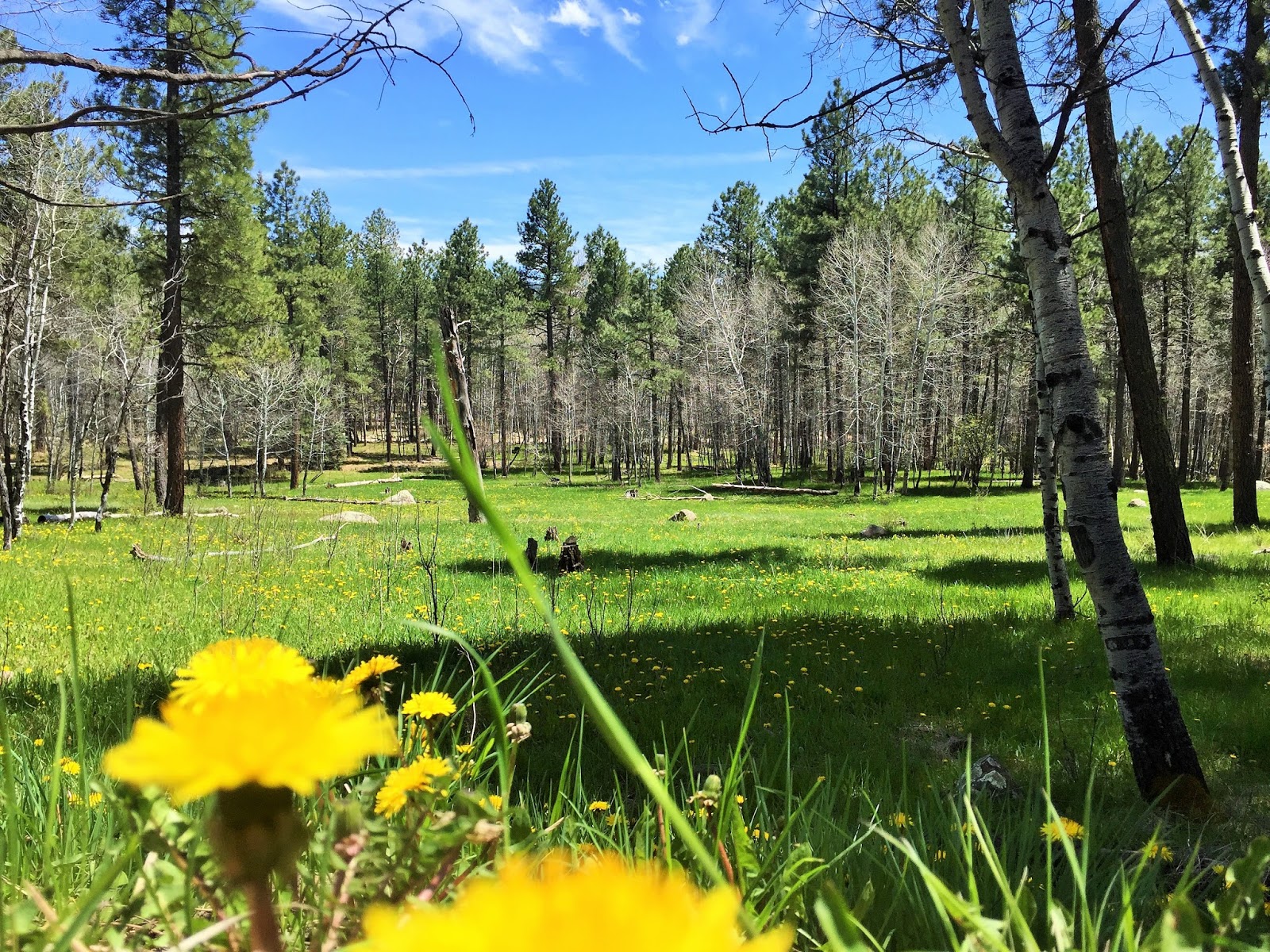 Down the Road Pagosa Springs Hikes, Waterfalls & Chimney Rock