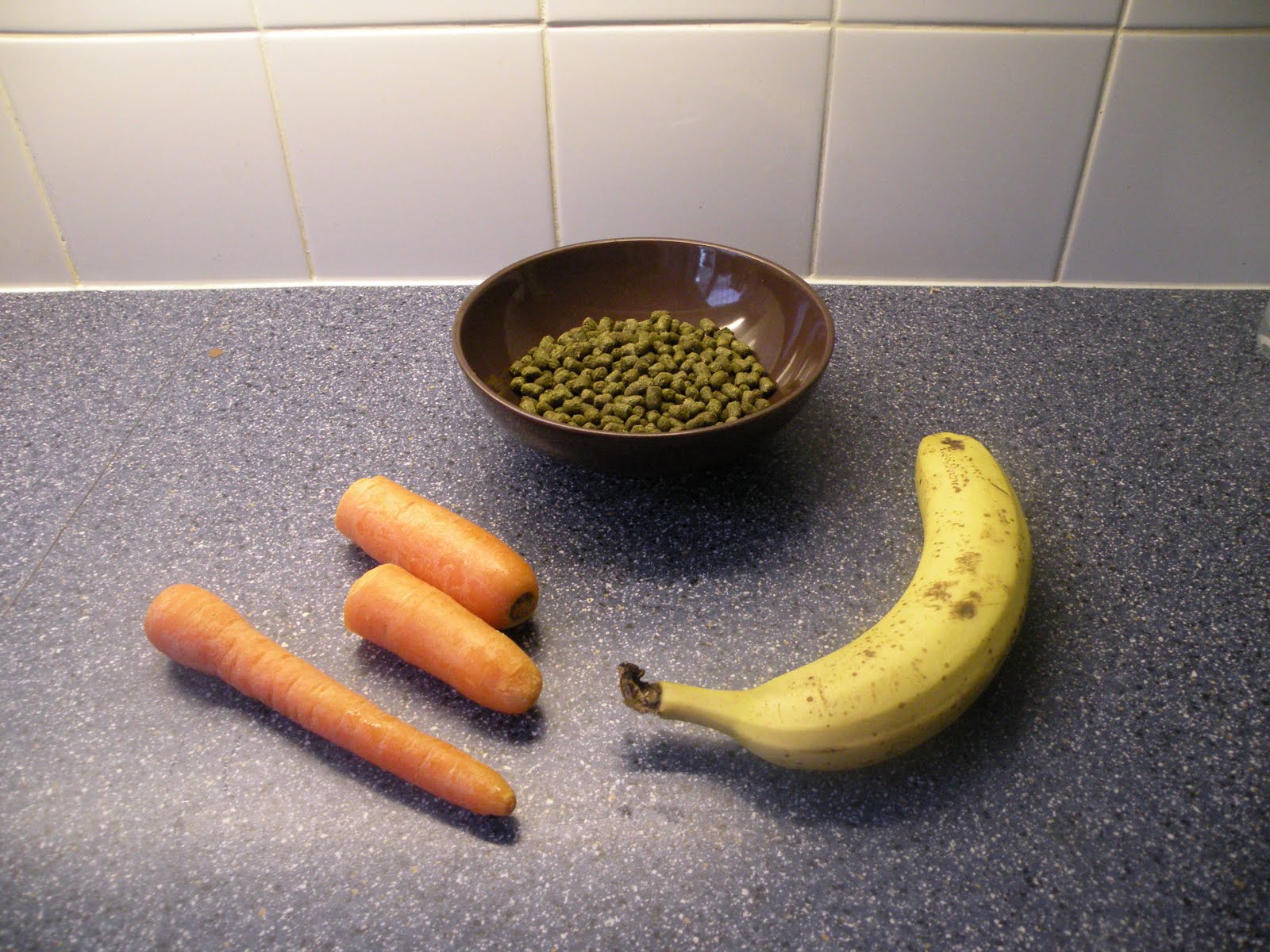 The Rabbits Blog Homemade Rabbit Treats