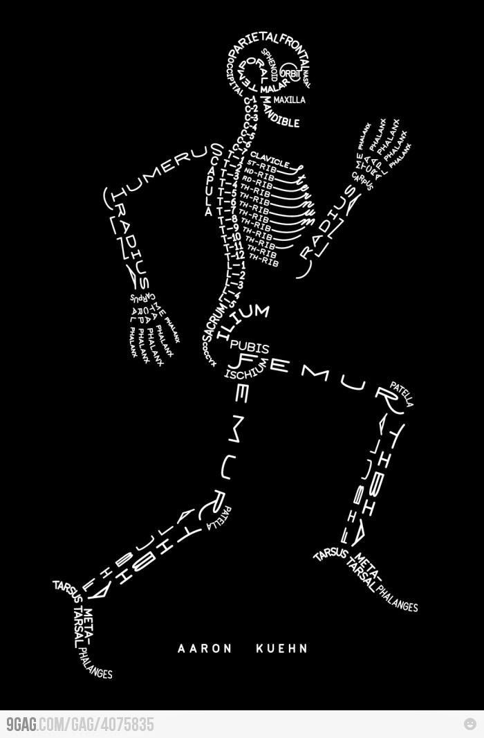 Blog anglais IFSI Nouvelle nomenclature anatomique