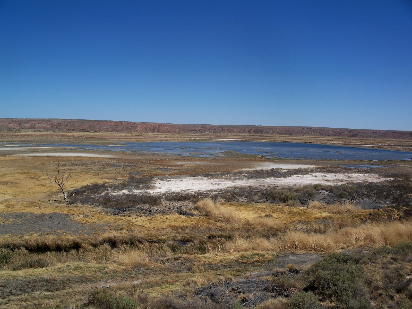 The Road Bitter Lake National Wildlife Refuge