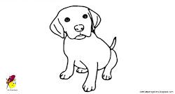 drawing dog animals easy draw pets