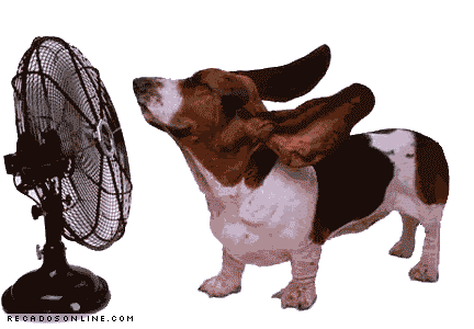 https://3.bp.blogspot.com/-T-cPJlVbL7s/U9LDD2FnvQI/AAAAAAAAL0o/1np16C8M-9A/s1600/cachorros047.gif
