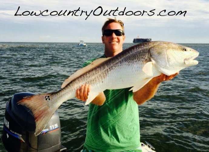 Lowcountry outdoors Lowcountry Saltwater Fishing Report 11/12/2013