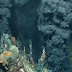"Vulcão" de 65 mil km pode ajudar a entender como a Terra funciona