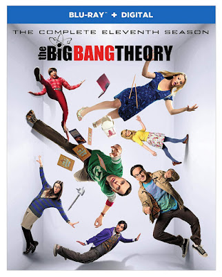 The Big Bang Theory Season 11 Blu Ray