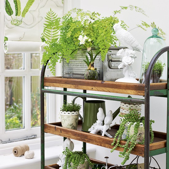 Indoor Plant Pots Ideas