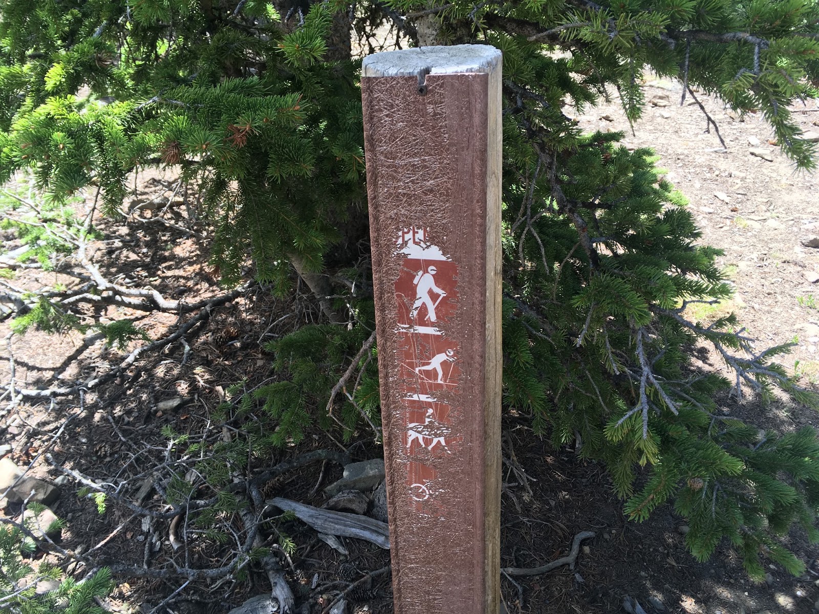 Hiking Rocky Mountain National Park Pennock Peak, Signal Mountains