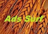 Ads Surf