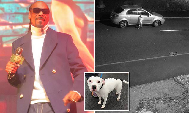 Snoop Dogg Offers Home To A Dog Named Snoop After Watching A Devastating Video