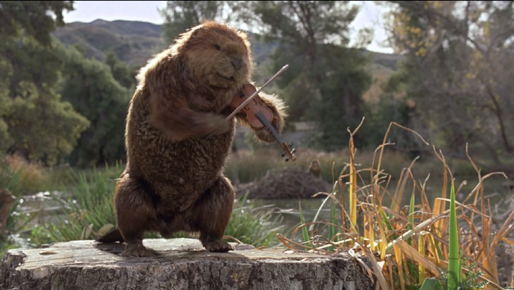 http://3.bp.blogspot.com/-T0PM1VQxqTE/UEjpXdxXCEI/AAAAAAAADYY/hb28dOaD_yI/s1600/monster_fiddling_beaver-3.jpg