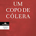 "Um Copo de Cólera" de Raduan Nassar | Companhia das Letras