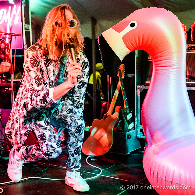 The Darcys at Riverfest Elora 2017 at Bissell Park on August 19, 2017 Photo by John at One In Ten Words oneintenwords.com toronto indie alternative live music blog concert photography pictures