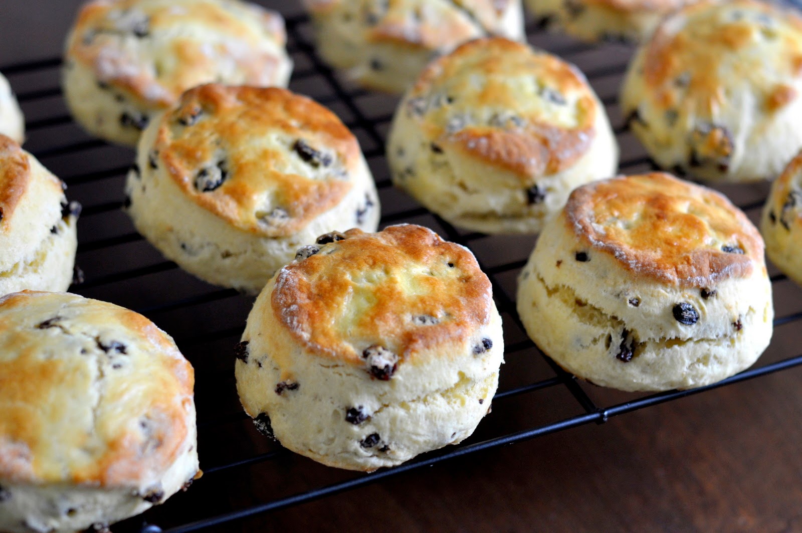 British-Style Currant Scones | Taste As You Go