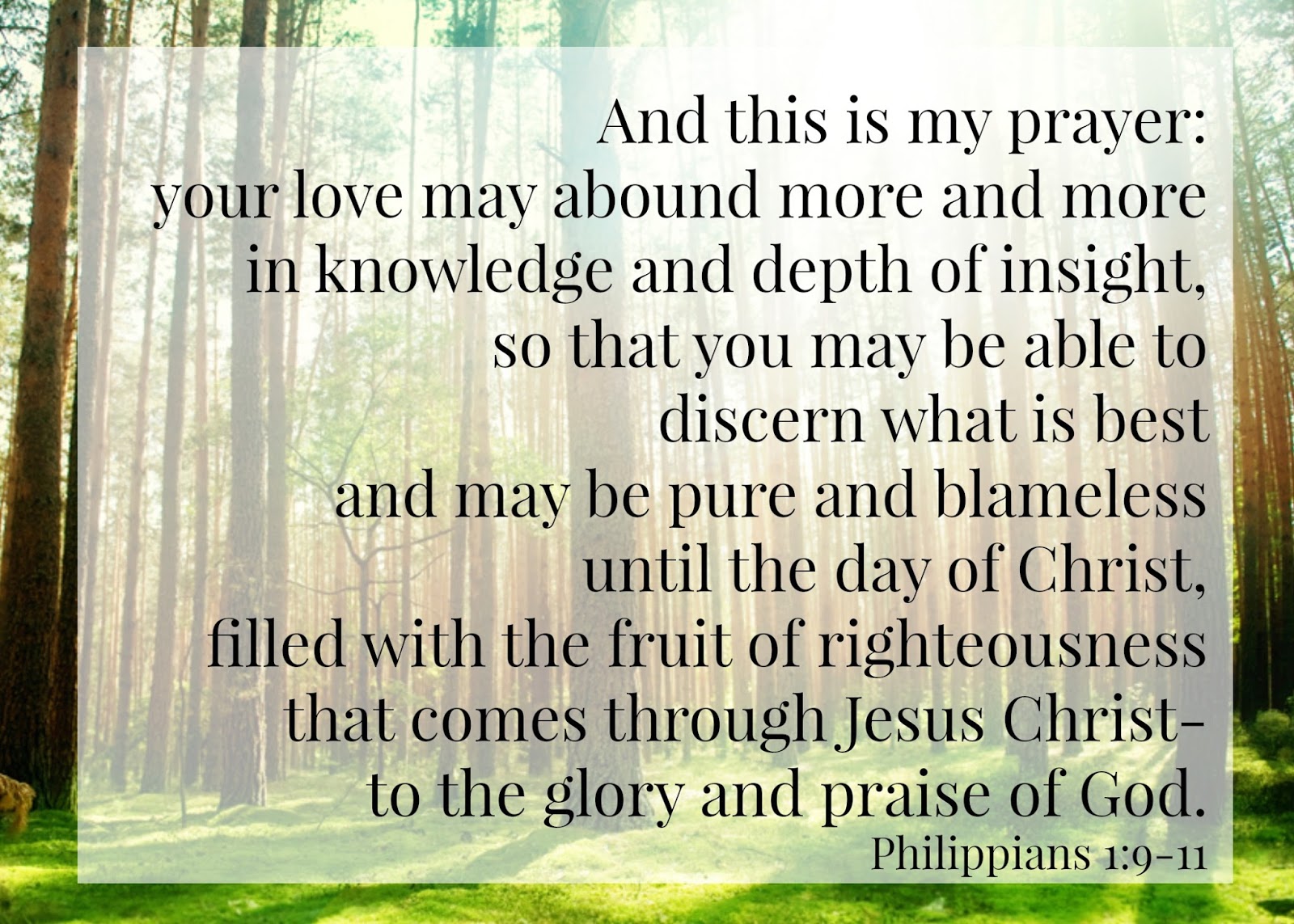 Allacin s Free Illustrated Summaries Of Christian Classics July 2016 allacin-s-free-illustrated-summaries-of-christian-classics-july-2016