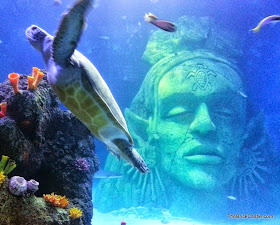 Sea Life Manchester giant stone head and turtle in main tank