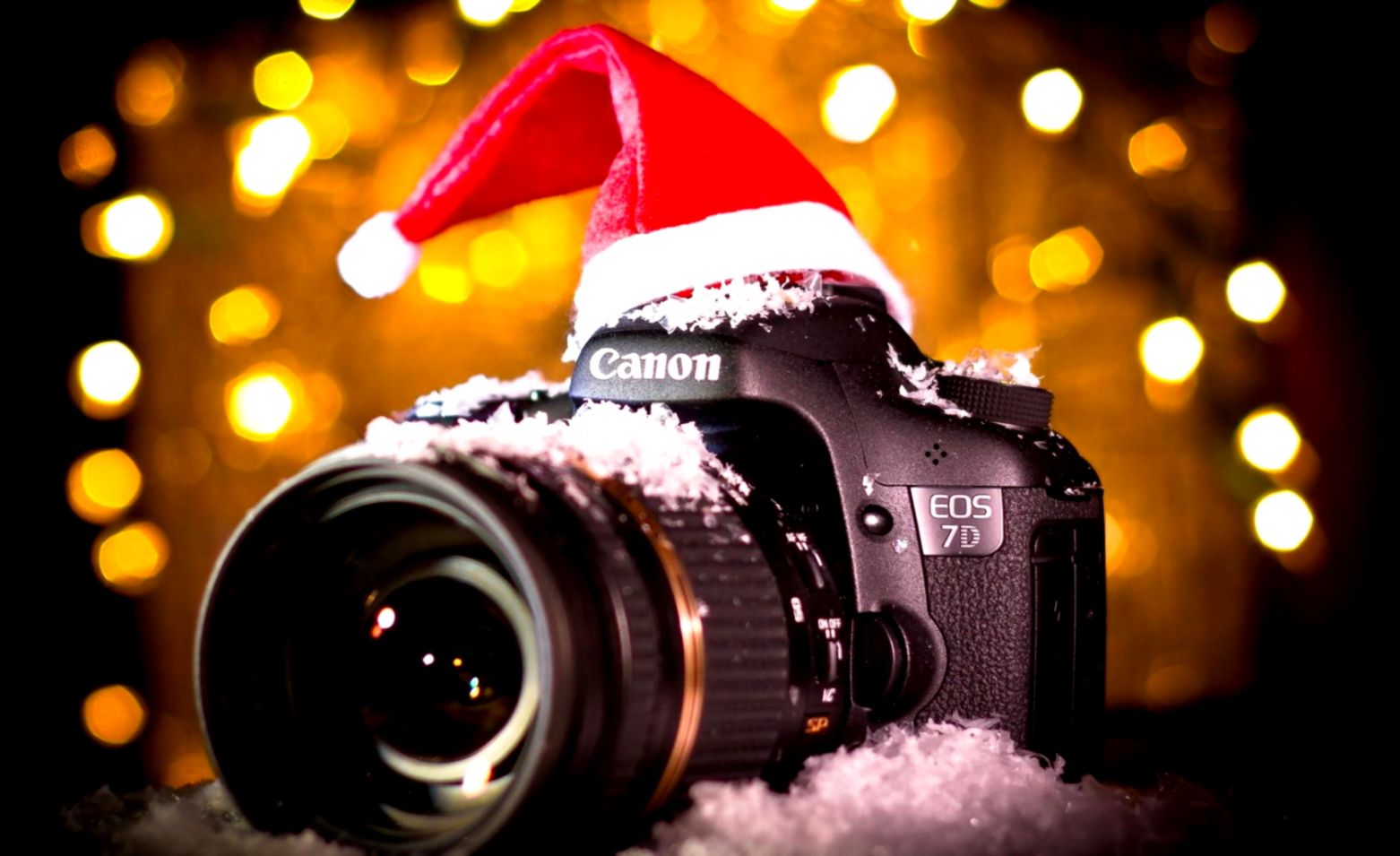 Lights Camera Christmas