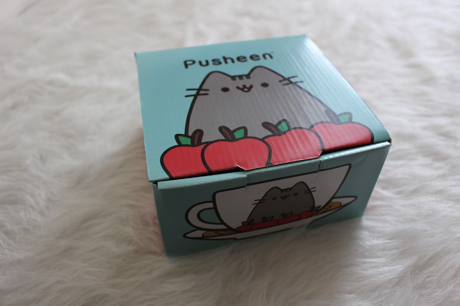Review Pusheen Box [Fall Edition] my cute bow cosplayer
