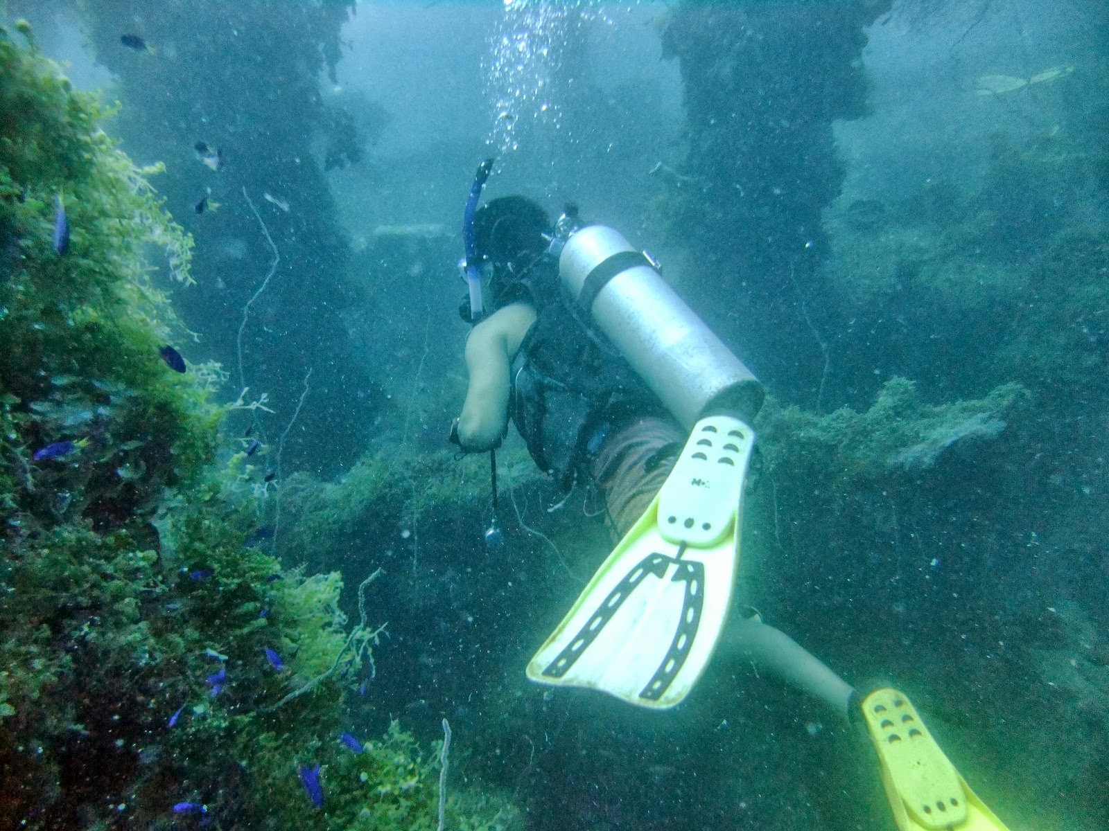 Awesomemoon: Diving Truk Lagoon's Wrecks