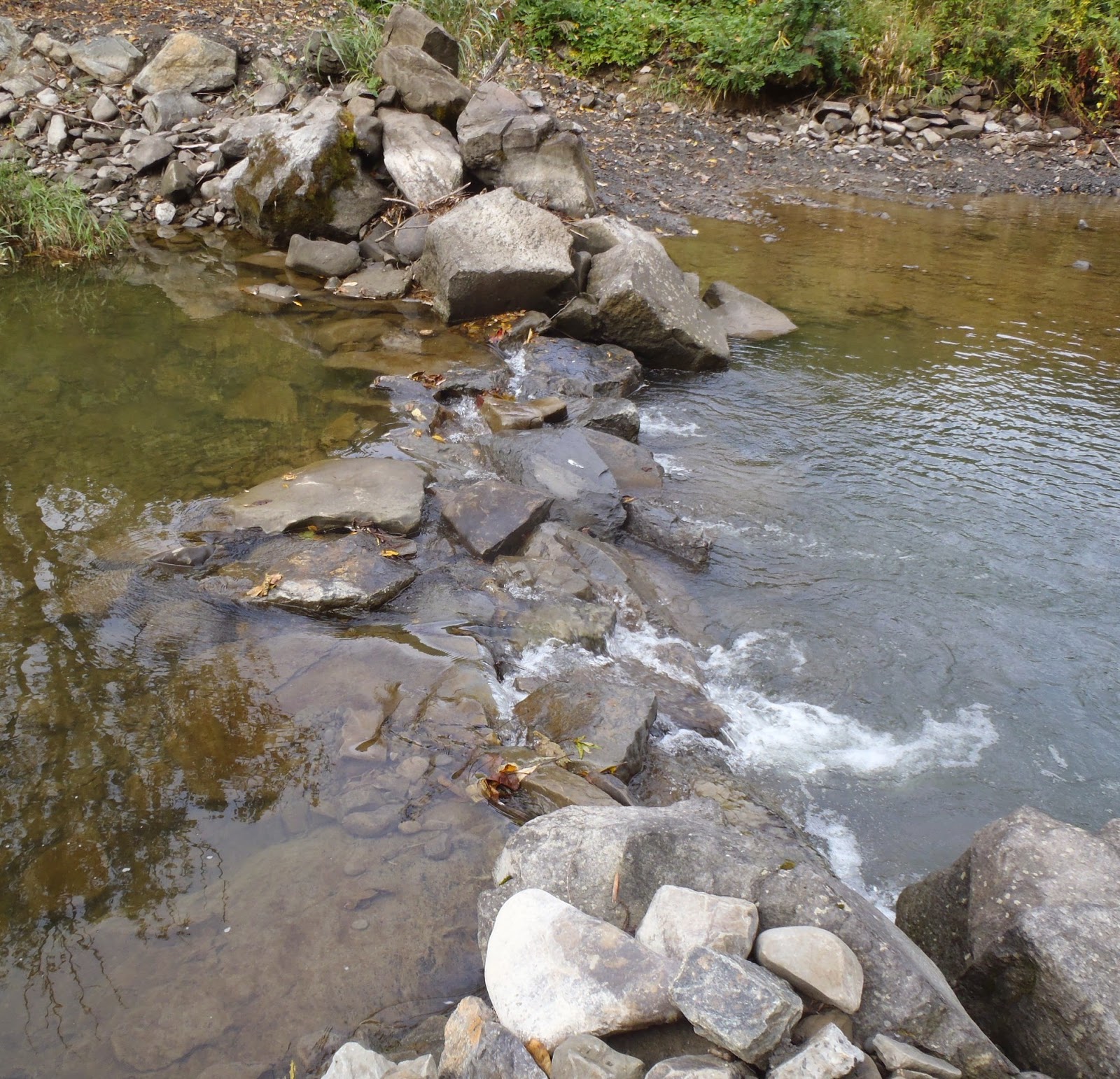幾春別川そしてカヌー 8月 2014