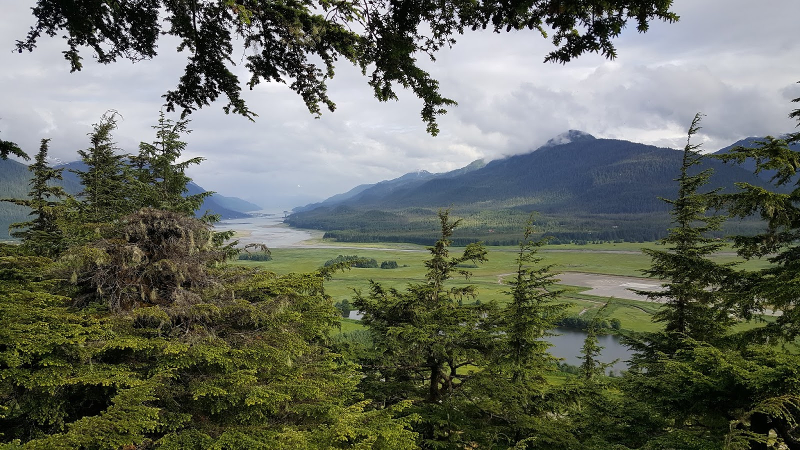 The Vegan Chickpea Experience Juneau Alaska Glacier Gardens