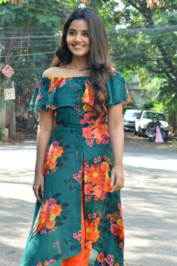 Anupama Parameswaran at Hello Guru Prema Kosame Promotions