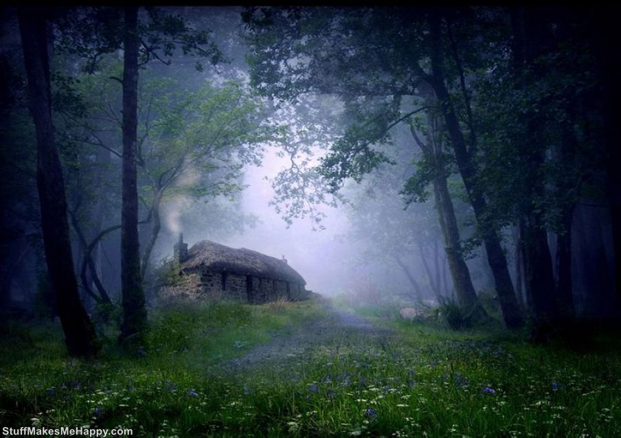 Unusual Dream Hermit House