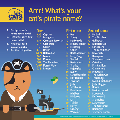 name pirate cat cats talk kids generator international find activities related visit fun whats