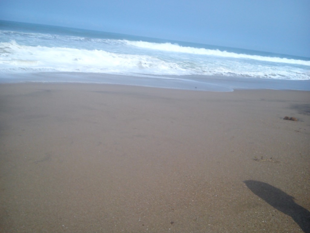 Menikmati setiap kehidupan yang lembut bersama angin: touring pantai