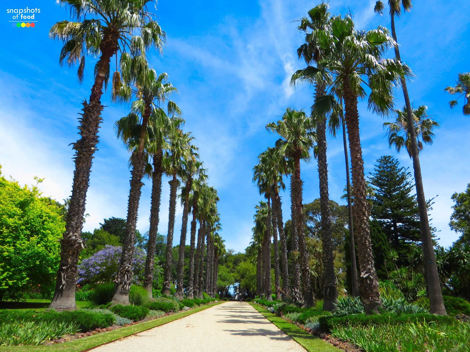 The Ice Cream Shoppe Williamstown