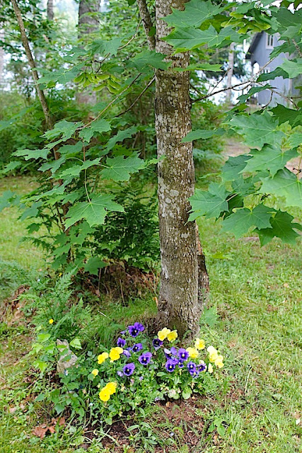 IMG_8474.JPG
