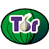 ZIB - The Open Tor Botnet