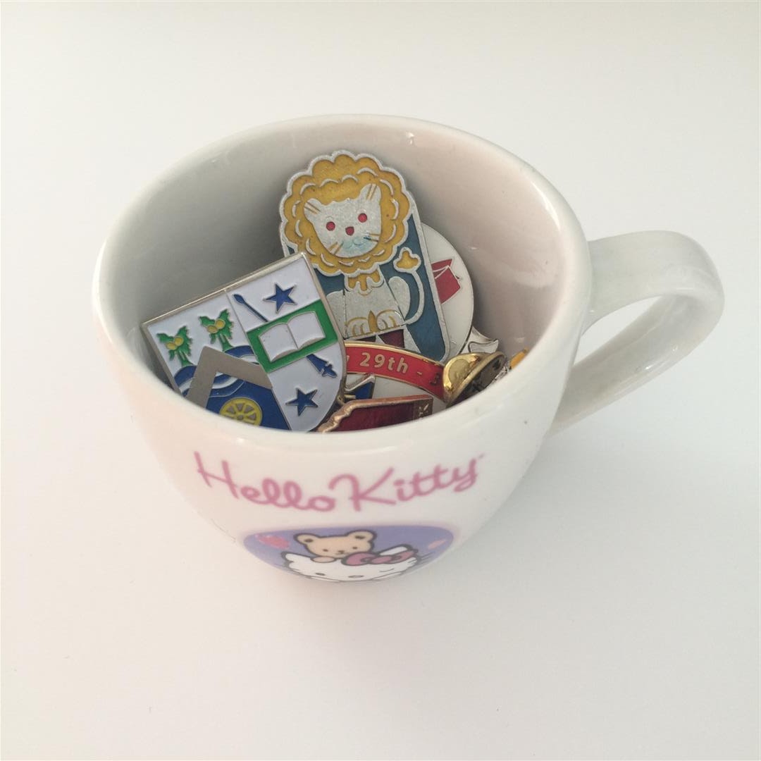 emuse Storing and displaying pins