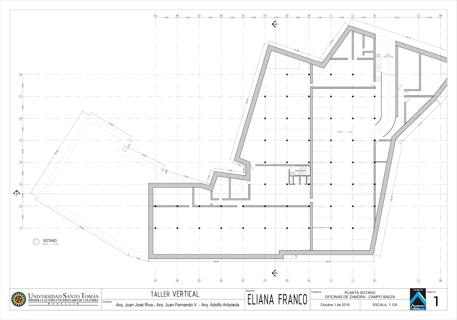 ELIANA FRANCO | TALLER VERTICAL USTAMED: PLANIMETRIA Y ANALISIS CASO DE