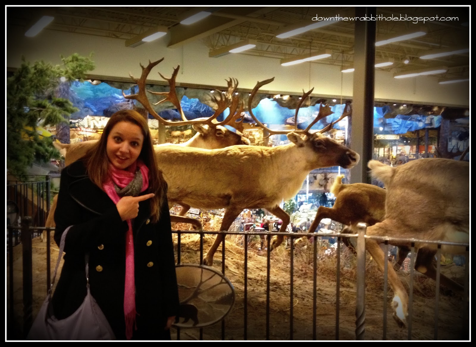 Down the Wrabbit Hole The Travel Bucket List Backyard Bucket List A