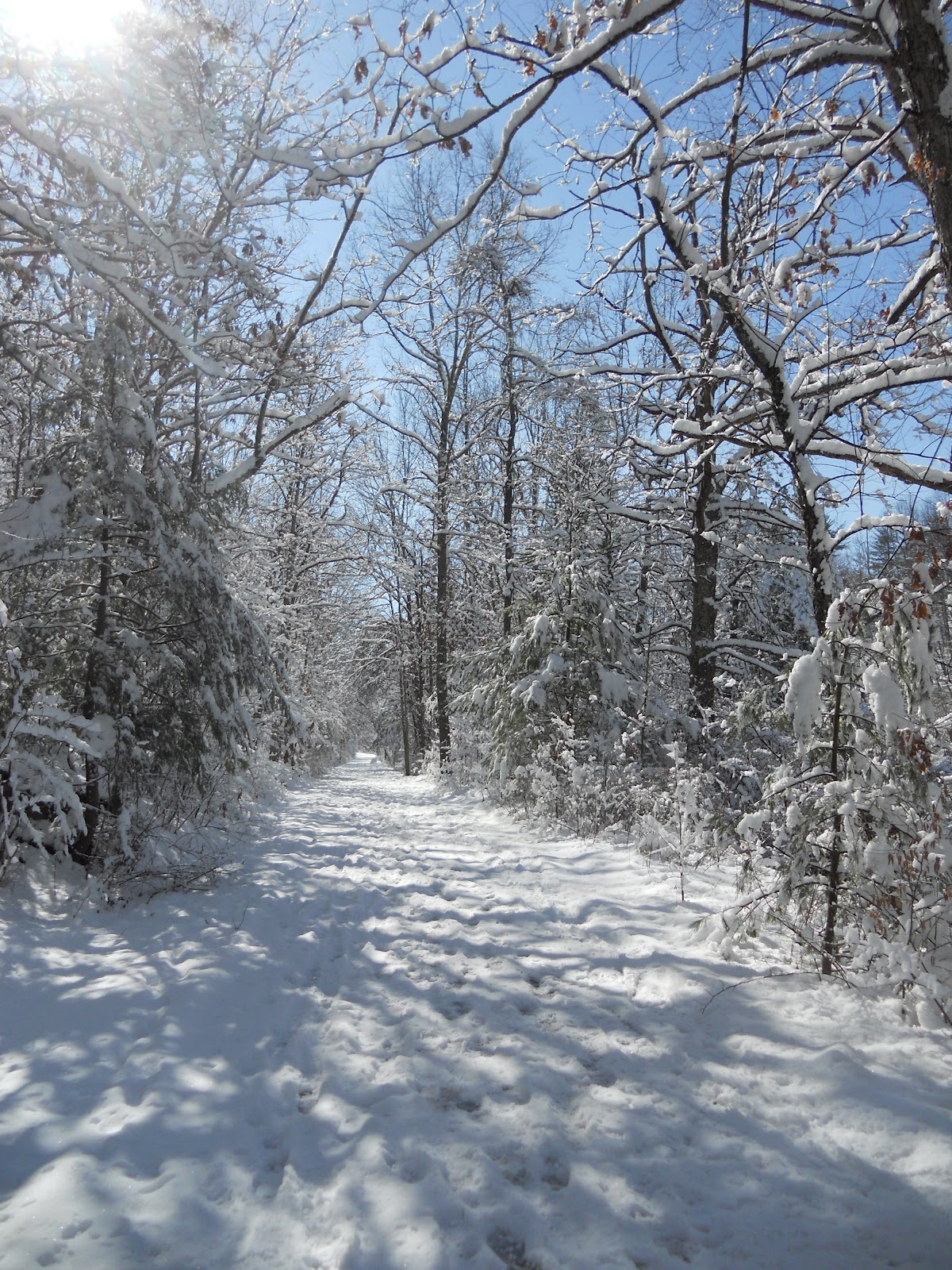 A Few Good Thoughts Winter Walk