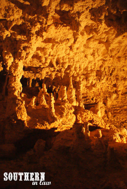 Southern In Law New Zealand Travel Reviews - Waitomo Glowworm Caves Review and Discounts