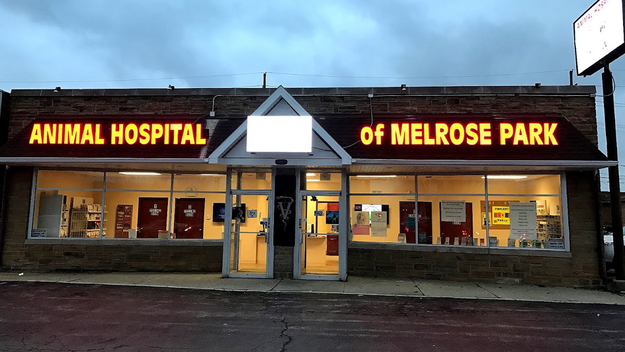 Villa Park High School Trip to Park