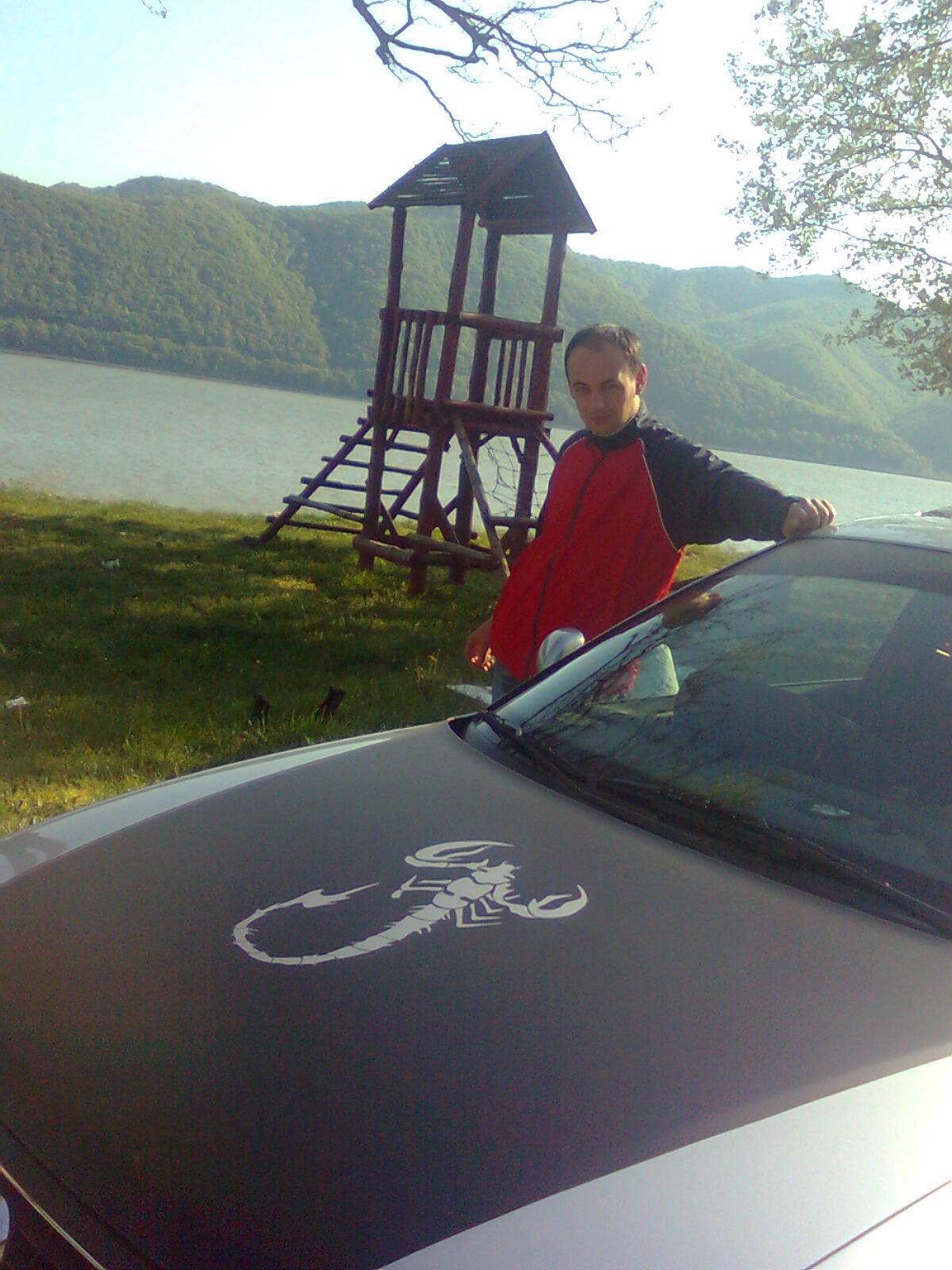 Filme muzica poze jocuri programe avatare Si Multe