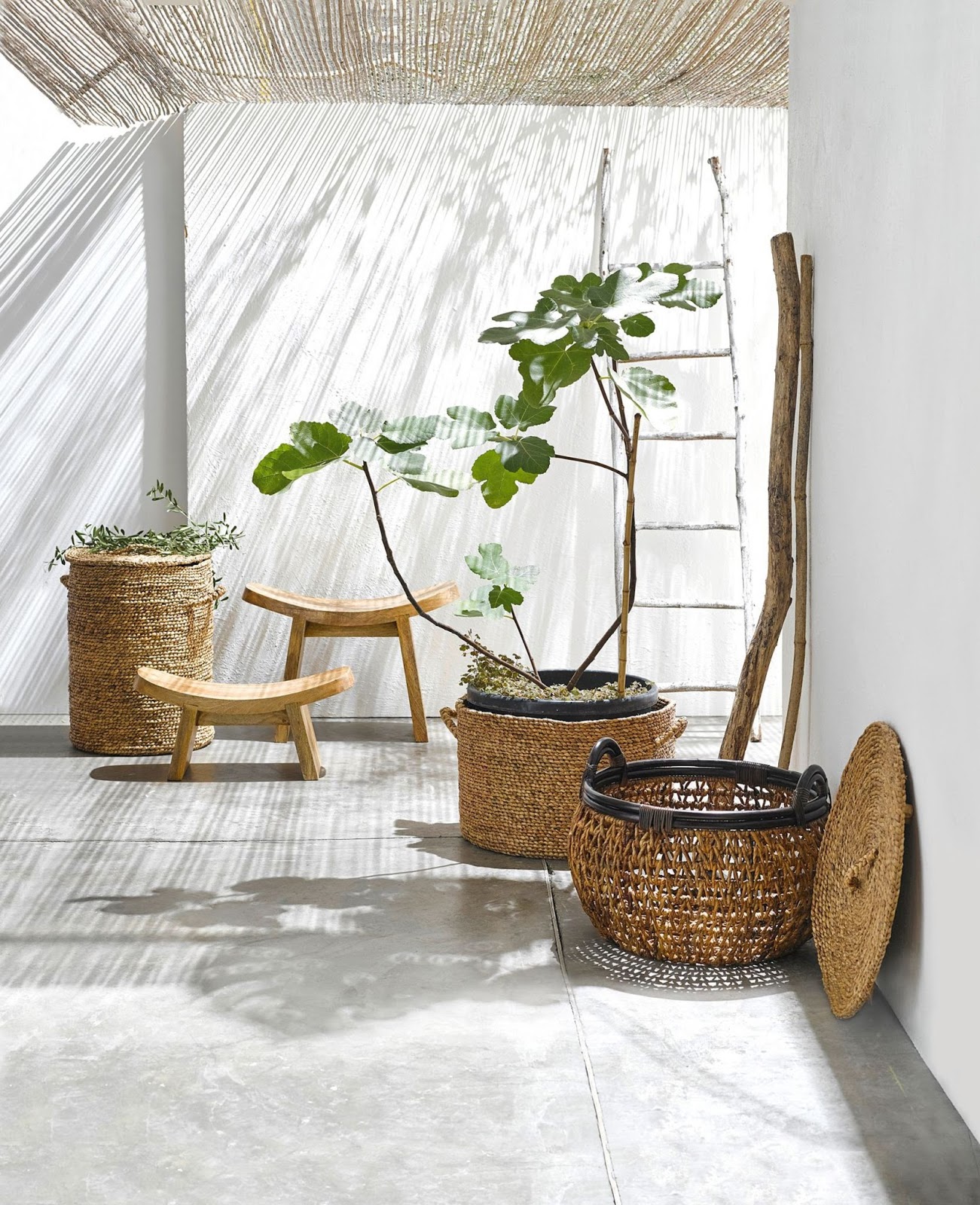 SCANDIMAGDECO Le Blog: Tendance déco Urban Jungle