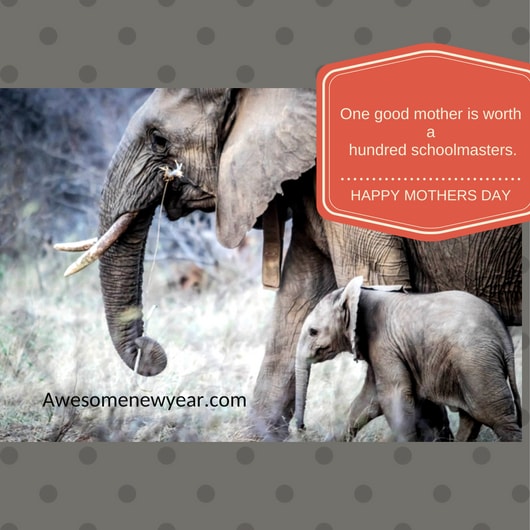 Happy Mother's Day HD Wallpapers