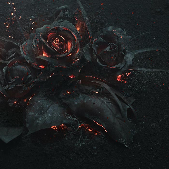 Burned Roses Wallpaper Engine
