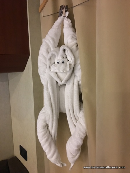 towel monkey in cabin aboard Holland America Line’s Nieuw Amsterdam