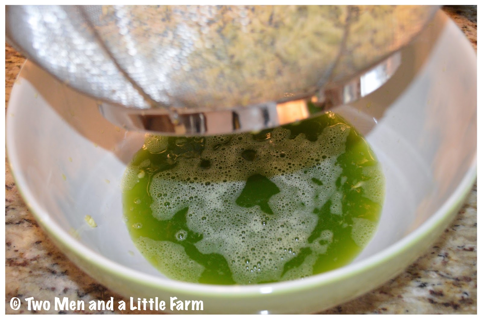 Two Men and a Little Farm HOW TO SHRED AND FREEZE ZUCCHINI FOR LATER USE