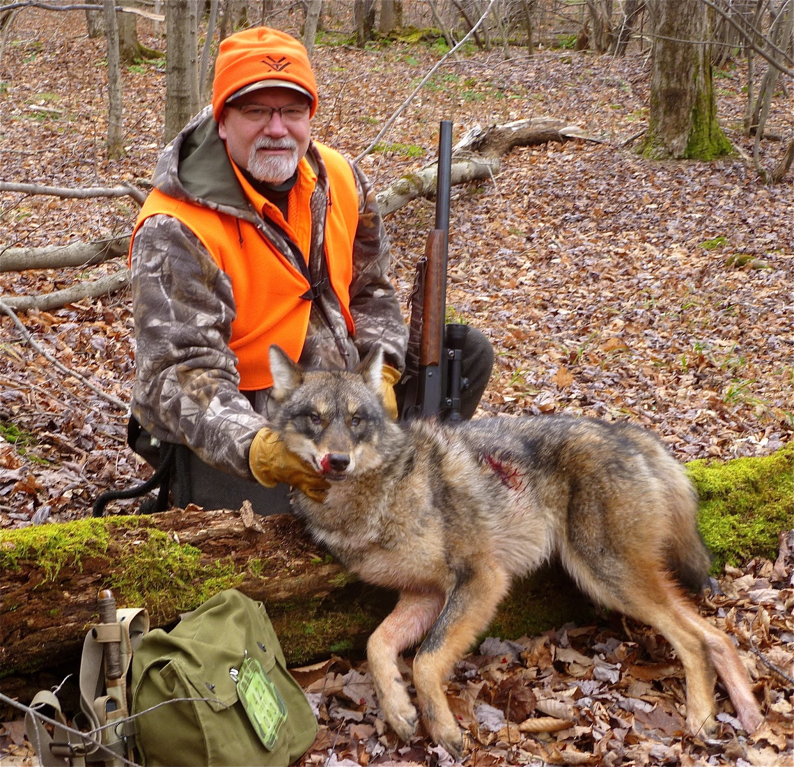 Opening day of NY regular deer season.....